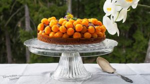 Thumbnail for 157199