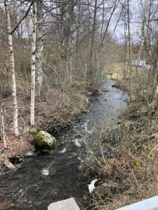 Thumbnail for 157240