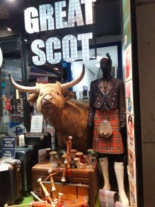 Thumbnail for 157254