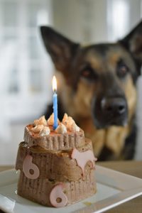 Thumbnail for 157547