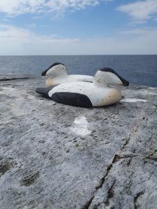 Thumbnail for 157870