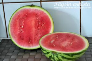 Thumbnail for 158054