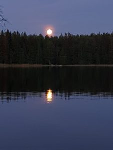 Thumbnail for 158073