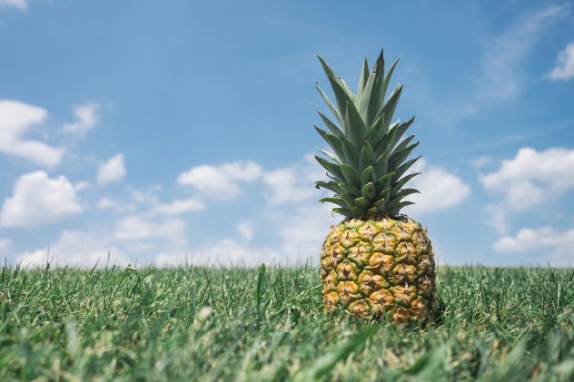 pineapple-867245_1920