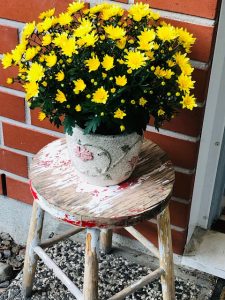 Syksyn sävyt Thumbnail for 159789