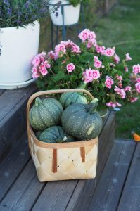 Thumbnail for 159973