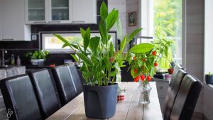 Thumbnail for 160603