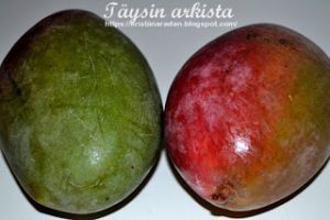 Thumbnail for 161003