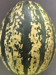 Thumbnail for 161287