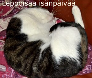 Thumbnail for 161482