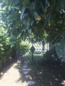 California dreamin – unelma lomakodista Thumbnail for 161736