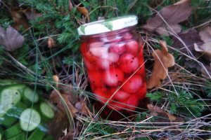 Thumbnail for 161747