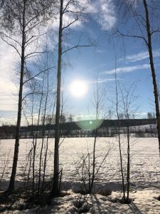 Thumbnail for 164376