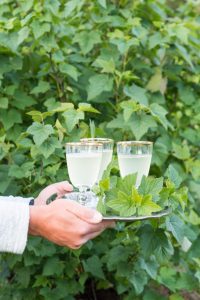 Louhisaaren juoma Thumbnail for 166355