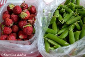 Thumbnail for 167533