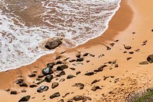 antigua-4595038_1920