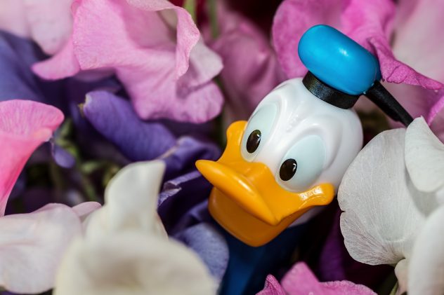 donald-duck-973226_1920