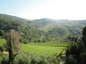 Thumbnail for 169587