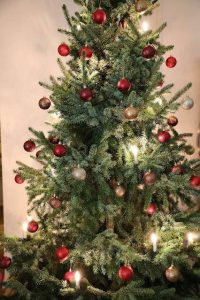 Thumbnail for 170605