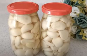 Näyttökuva 2021-12-2 kello 13.50.07