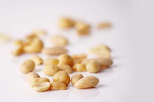 nuts-g1d3199445_640