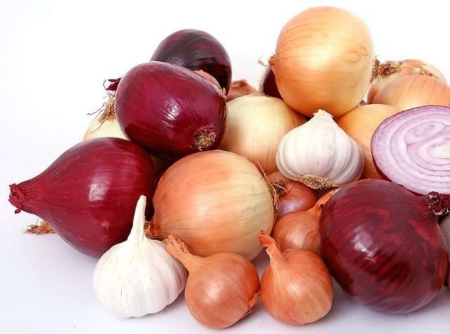 onions-gcd9c53c23_640