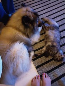 Thumbnail for 172625