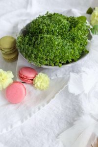 Thumbnail for 172780