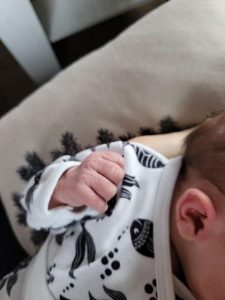 Thumbnail for 172876