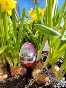 Thumbnail for 173136