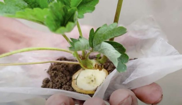 Näyttökuva 2022-5-13 kello 10.43.09