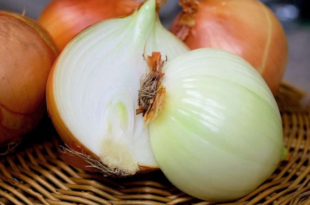 onion-g4eb0bd55c_1280