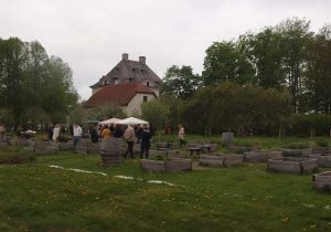 Thumbnail for 173995