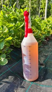 Thumbnail for 174105