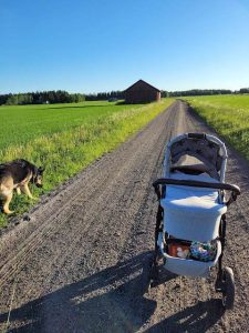 Thumbnail for 174310