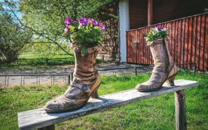 Thumbnail for 176199