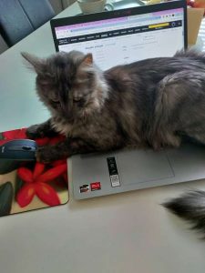 Thumbnail for 174671