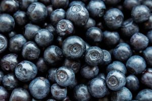 blueberry-g1e134b233_1280