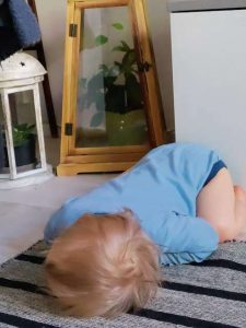 Thumbnail for 175300