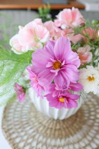 Thumbnail for 175366