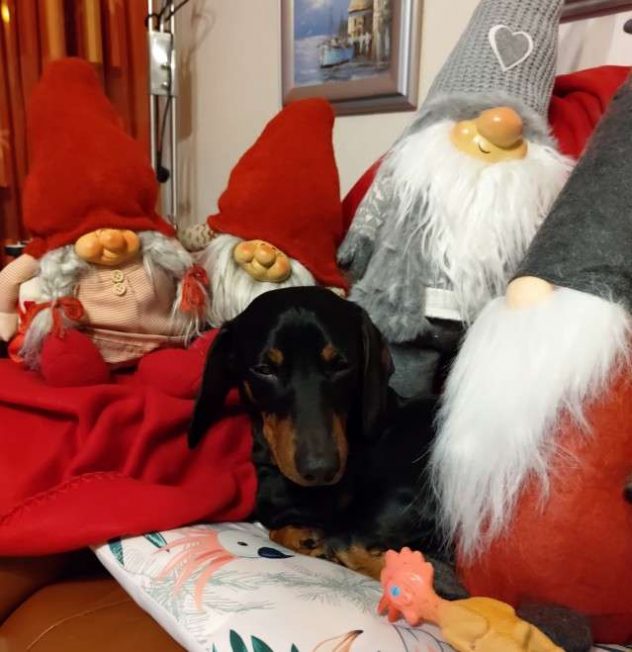 Thumbnail for 176800