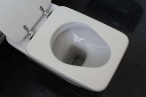 Kaada etikkaa yöksi vessanpönttöön – katso miksi se kannattaa toilet-g8420960a0_1280