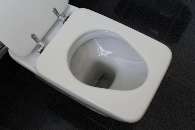 toilet-g8420960a0_1280