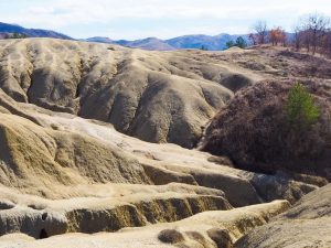 Thumbnail for 177658