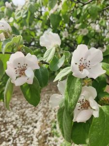 Thumbnail for 178422