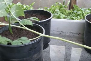 Näyttökuva 2023-5-24 kello 10.04.29