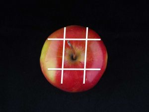 AdobeStock_198960293