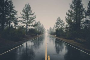 negative-space-rain-road-forest-veeterzy-thumb-1