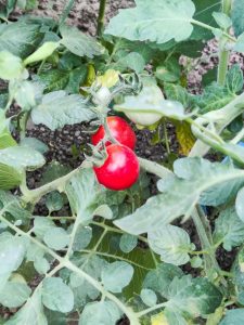 Thumbnail for 182609