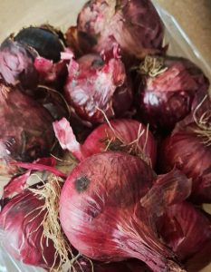 Thumbnail for 182871